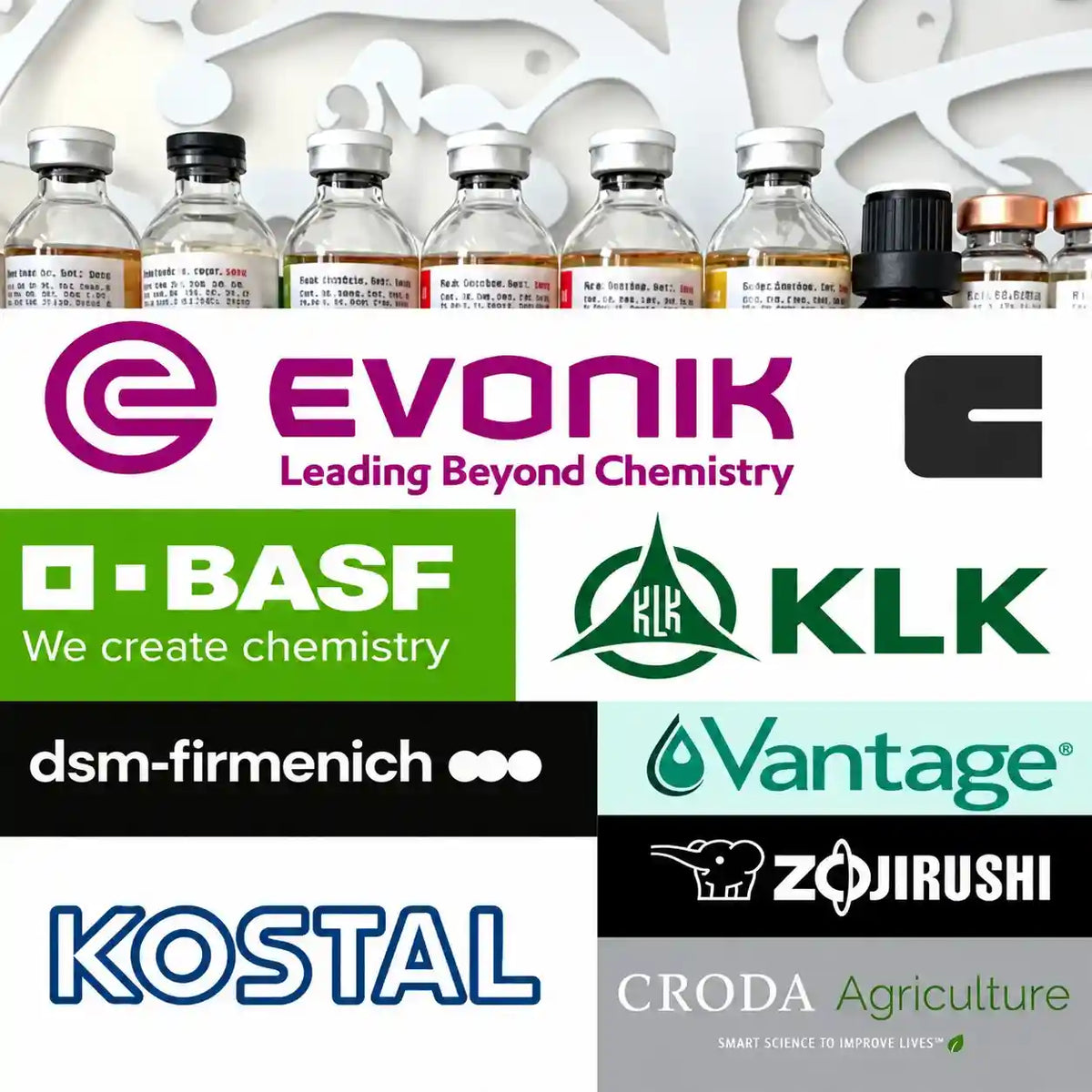 KAIYA makeup manufacturer raw material sourcing network, featuring international cosmetic ingredient suppliers supporting color cosmetics formulation and production.